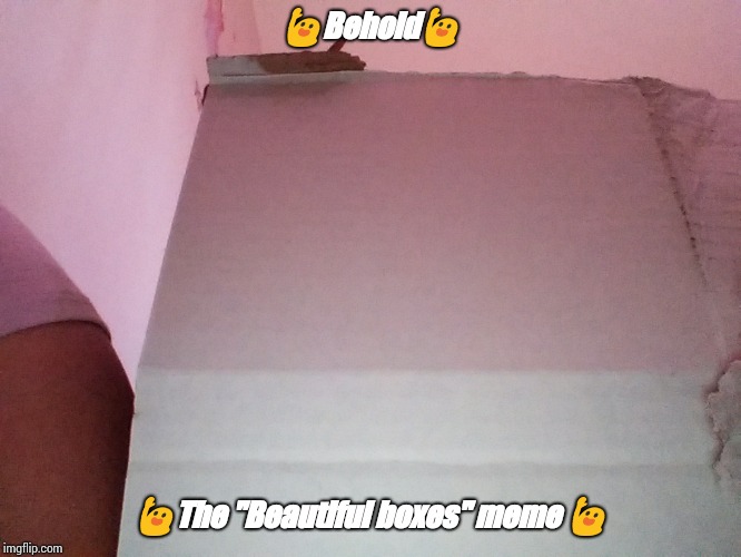 Beautiful boxes | 🙋Behold🙋; 🙋The "Beautiful boxes" meme 🙋 | image tagged in beautiful boxes | made w/ Imgflip meme maker