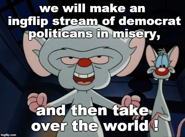 like the brain and pinky have shown,there must be a way to take over the world. | we will make an ingflip stream of democrat politicans in misery, and then take over the world ! | image tagged in pinky and the brain,world politics,un sucks,memes,democrat misery | made w/ Imgflip meme maker