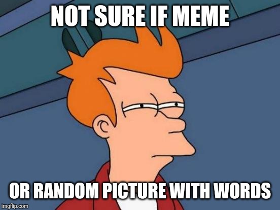 Randomeme | NOT SURE IF MEME; OR RANDOM PICTURE WITH WORDS | image tagged in memes,futurama fry,random words | made w/ Imgflip meme maker