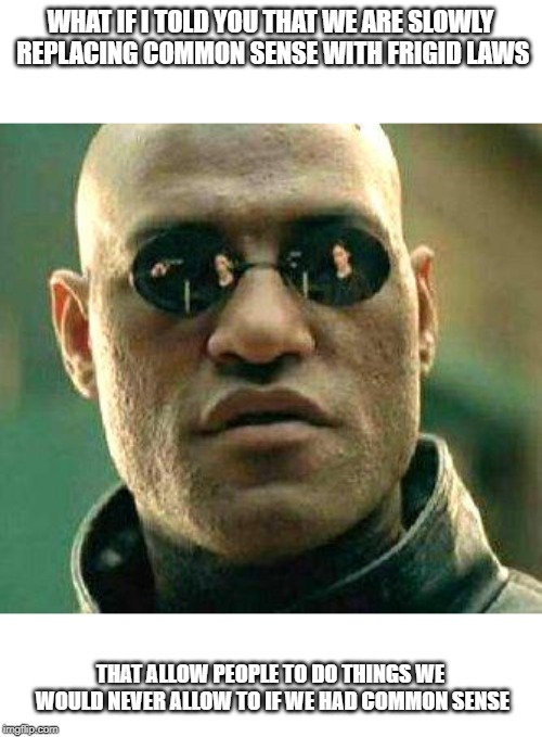 What if i told you | WHAT IF I TOLD YOU THAT WE ARE SLOWLY REPLACING COMMON SENSE WITH FRIGID LAWS; THAT ALLOW PEOPLE TO DO THINGS WE WOULD NEVER ALLOW TO IF WE HAD COMMON SENSE | image tagged in what if i told you | made w/ Imgflip meme maker
