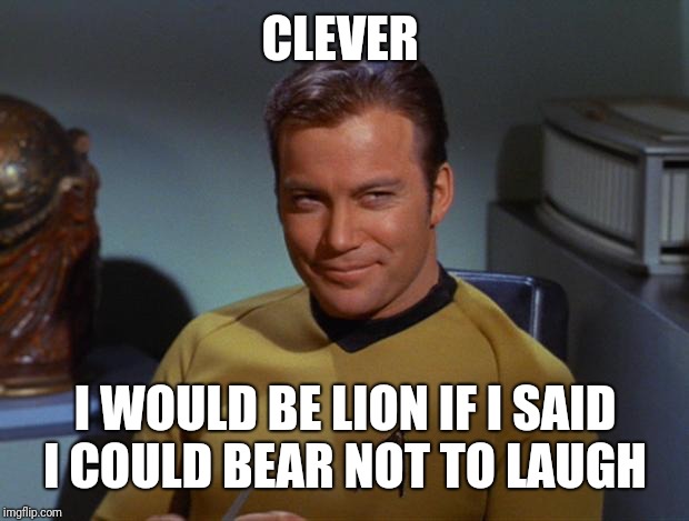 Kirk Smirk | CLEVER I WOULD BE LION IF I SAID I COULD BEAR NOT TO LAUGH | image tagged in kirk smirk | made w/ Imgflip meme maker