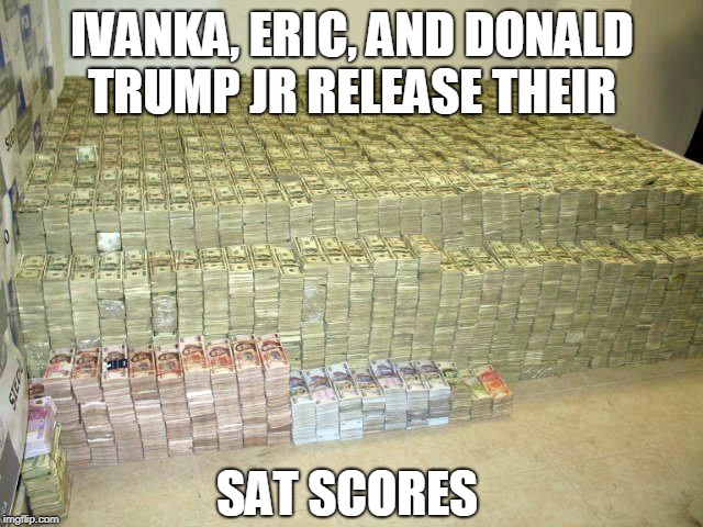Pile of money | IVANKA, ERIC, AND DONALD TRUMP JR RELEASE THEIR; SAT SCORES | image tagged in pile of money,trump | made w/ Imgflip meme maker