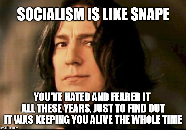 Severus snape smirking | SOCIALISM IS LIKE SNAPE; YOU'VE HATED AND FEARED IT ALL THESE YEARS, JUST TO FIND OUT IT WAS KEEPING YOU ALIVE THE WHOLE TIME | image tagged in severus snape smirking | made w/ Imgflip meme maker