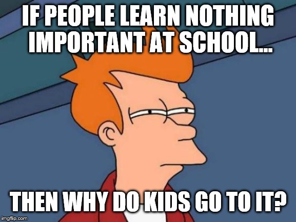 Futurama Fry Meme | IF PEOPLE LEARN NOTHING IMPORTANT AT SCHOOL... THEN WHY DO KIDS GO TO IT? | image tagged in memes,futurama fry | made w/ Imgflip meme maker