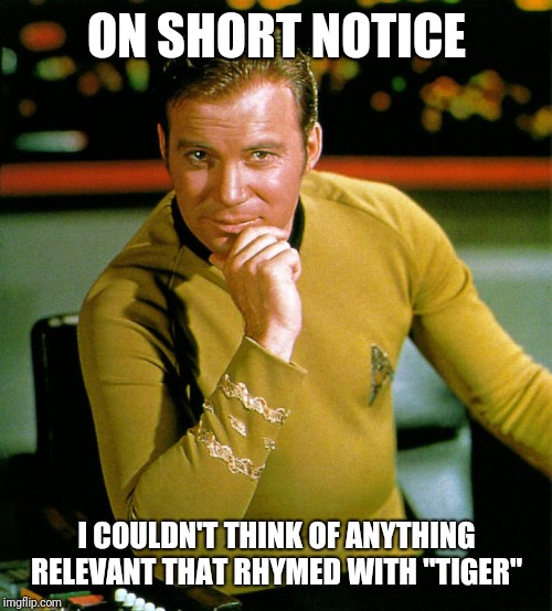 captain kirk | ON SHORT NOTICE I COULDN'T THINK OF ANYTHING RELEVANT THAT RHYMED WITH "TIGER" | image tagged in captain kirk | made w/ Imgflip meme maker