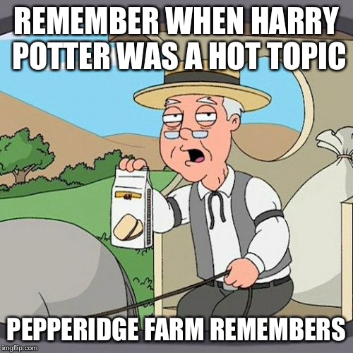 Pepperidge Farm Remembers | REMEMBER WHEN HARRY POTTER WAS A HOT TOPIC; PEPPERIDGE FARM REMEMBERS | image tagged in memes,pepperidge farm remembers | made w/ Imgflip meme maker