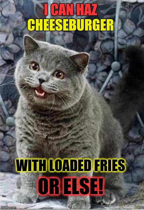 I can haz it all! | I CAN HAZ; CHEESEBURGER; WITH LOADED FRIES; OR ELSE! | image tagged in i can has cheezburger cat,fries | made w/ Imgflip meme maker