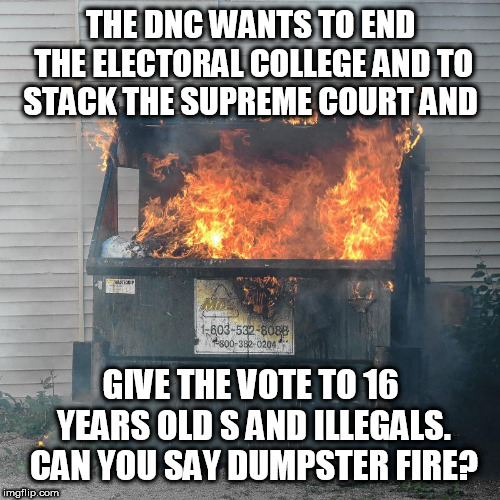 Dumpster fire DNC  | THE DNC WANTS TO END THE ELECTORAL COLLEGE AND TO STACK THE SUPREME COURT AND; GIVE THE VOTE TO 16 YEARS OLD S AND ILLEGALS. CAN YOU SAY DUMPSTER FIRE? | image tagged in dumpster fire dnc | made w/ Imgflip meme maker