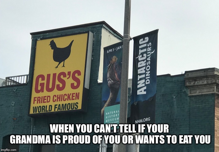 Proud ancestor? | WHEN YOU CAN’T TELL IF YOUR GRANDMA IS PROUD OF YOU OR WANTS TO EAT YOU | image tagged in fried chicken,dinosaur,proud | made w/ Imgflip meme maker