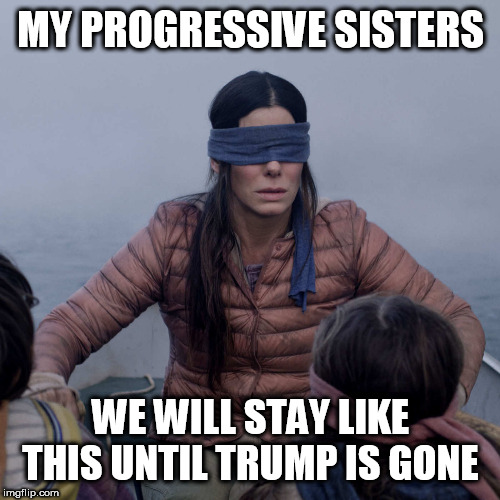 Bird Box Meme | MY PROGRESSIVE SISTERS; WE WILL STAY LIKE THIS UNTIL TRUMP IS GONE | image tagged in memes,bird box | made w/ Imgflip meme maker