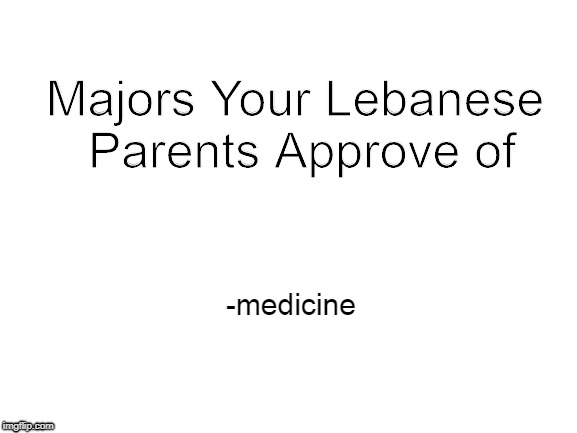 Blank White Template | Majors Your Lebanese Parents Approve of; -medicine | image tagged in blank white template | made w/ Imgflip meme maker