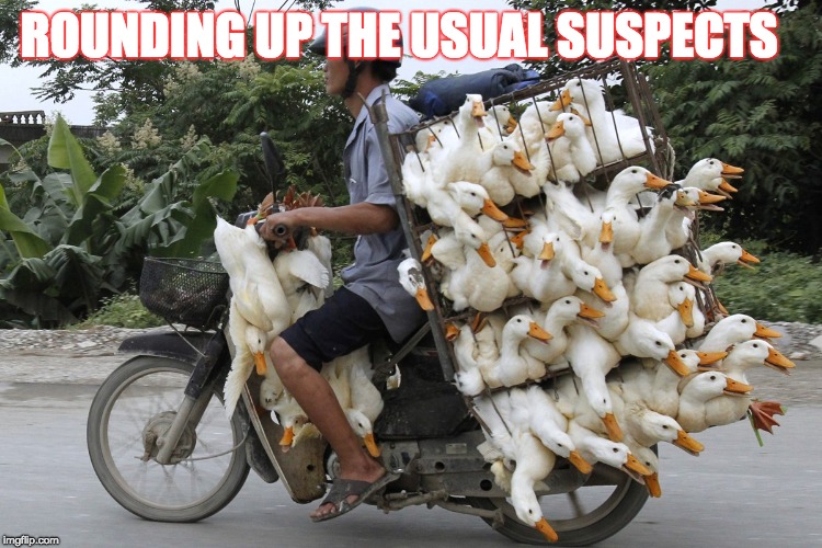 ROUNDING UP THE USUAL SUSPECTS | image tagged in bringing the ducks | made w/ Imgflip meme maker