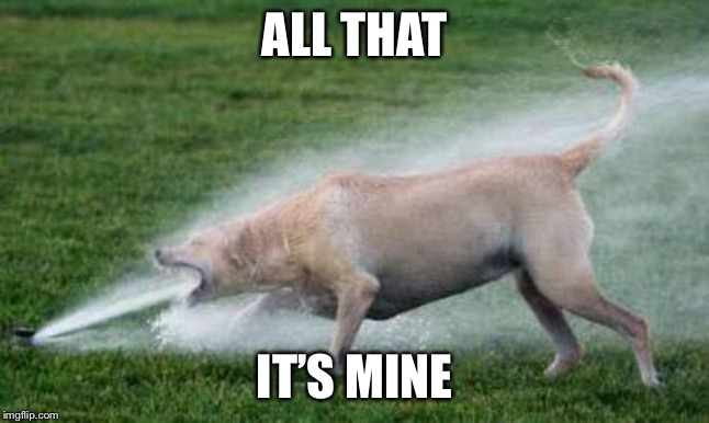 Thirsty Dog | ALL THAT IT’S MINE | image tagged in thirsty dog | made w/ Imgflip meme maker