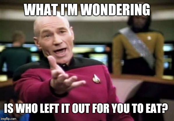 Picard Wtf Meme | WHAT I'M WONDERING IS WHO LEFT IT OUT FOR YOU TO EAT? | image tagged in memes,picard wtf | made w/ Imgflip meme maker