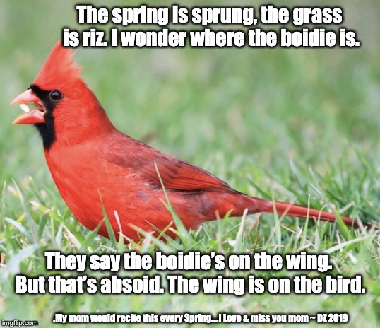 Spring is Sprung | The spring is sprung, the grass is riz. I wonder where the boidie is. They say the boidie’s on the wing. But that’s absoid. The wing is on the bird. .My mom would recite this every Spring....I Love & miss you mom ~ DZ 2019 | image tagged in spring,birds,mom,springtime,warm weather,flowers | made w/ Imgflip meme maker