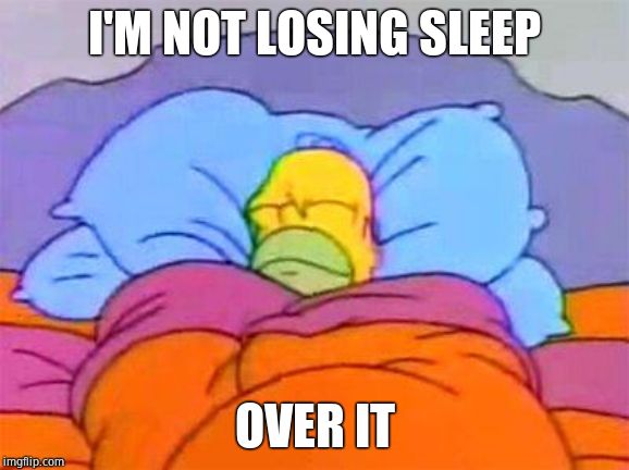 Homer bed | I'M NOT LOSING SLEEP OVER IT | image tagged in homer bed | made w/ Imgflip meme maker