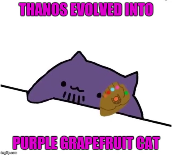 thanos cat | THANOS EVOLVED INTO; PURPLE GRAPEFRUIT CAT | image tagged in thanos cat | made w/ Imgflip meme maker