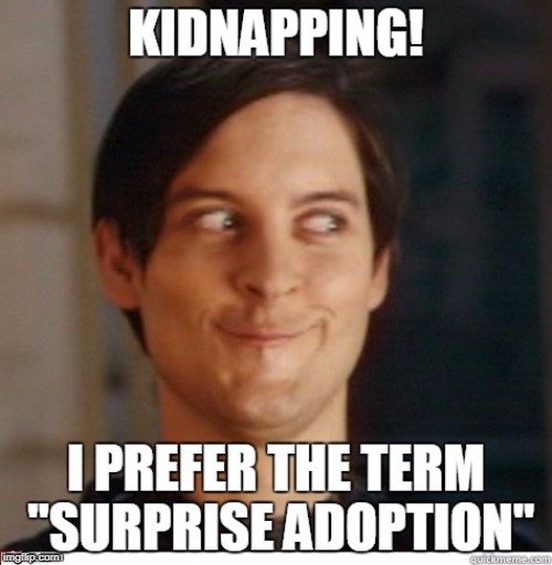 image tagged in kidnapping,suprise | made w/ Imgflip meme maker