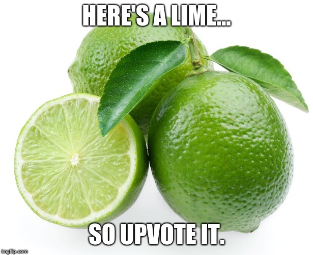 You gotta do what you gotta do. | HERE'S A LIME... SO UPVOTE IT. | image tagged in lime,meme,not funny | made w/ Imgflip meme maker