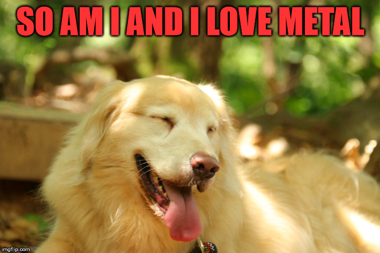 Dog laughing | SO AM I AND I LOVE METAL | image tagged in dog laughing | made w/ Imgflip meme maker