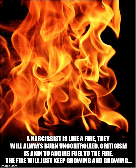 A narcissist is like a fire | A NARCISSIST IS LIKE A FIRE, THEY WILL ALWAYS BURN UNCONTROLLED. CRITICISM IS AKIN TO ADDING FUEL TO THE FIRE. THE FIRE WILL JUST KEEP GROWING AND GROWING... | image tagged in narcissist,fire,rage,destructive,criticism,madness | made w/ Imgflip meme maker