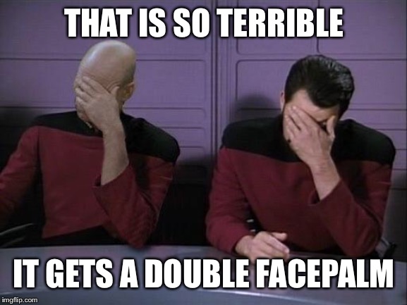 Double Facepalm | THAT IS SO TERRIBLE IT GETS A DOUBLE FACEPALM | image tagged in double facepalm | made w/ Imgflip meme maker