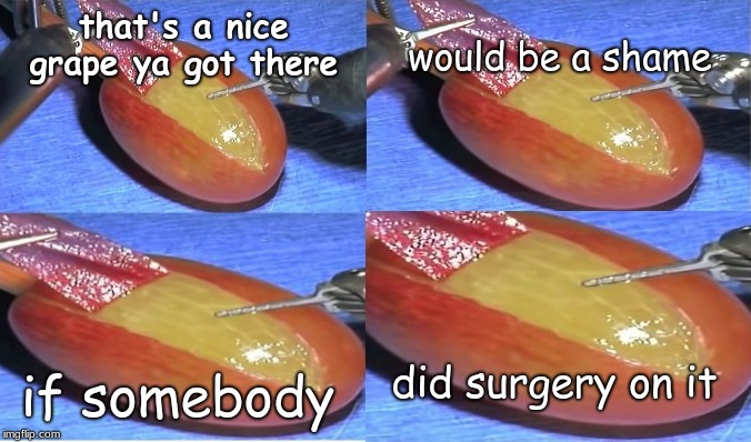 would be a shame; that's a nice grape ya got there; did surgery on it; if somebody | image tagged in they did surgery on a grape | made w/ Imgflip meme maker