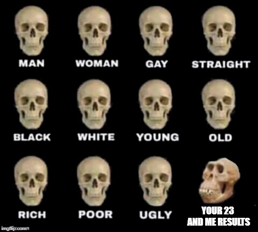 Beware knowing your ancestry. | YOUR 23 AND ME RESULTS | image tagged in idiot skull,memes,23 and me,dna | made w/ Imgflip meme maker