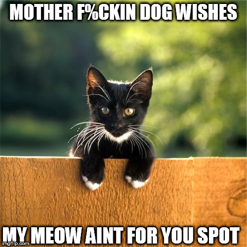 MOTHER F%CKIN DOG WISHES MY MEOW AINT FOR YOU SPOT | made w/ Imgflip meme maker