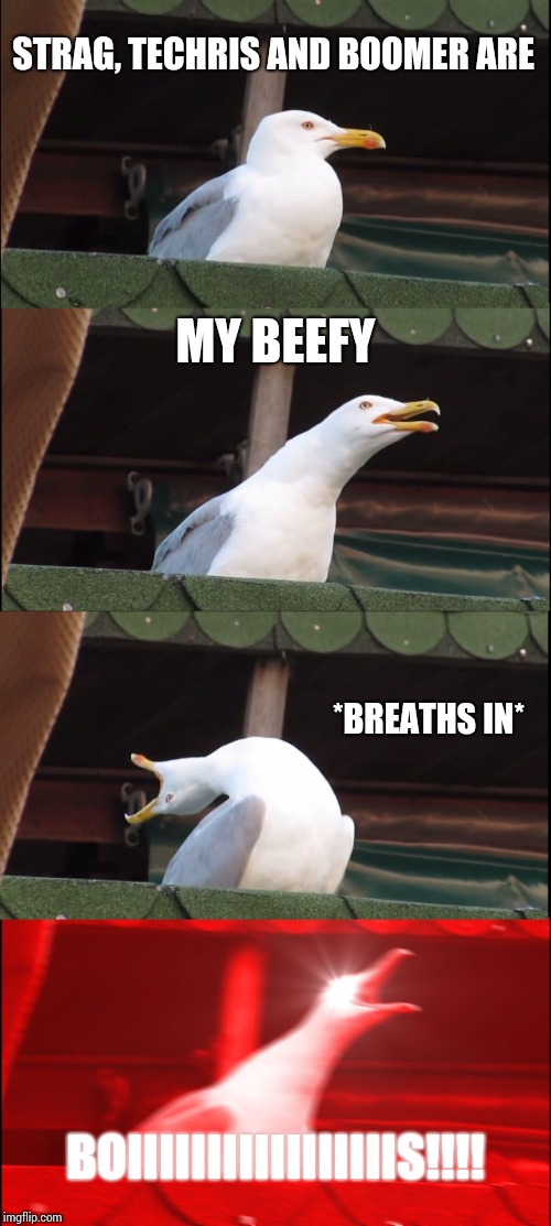 Inhaling Seagull | STRAG, TECHRIS AND BOOMER ARE; MY BEEFY; *BREATHS IN*; BOIIIIIIIIIIIIIIIIIS!!!! | image tagged in memes,inhaling seagull | made w/ Imgflip meme maker