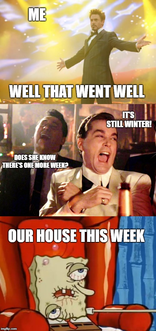 One. More. Day. | ME; WELL THAT WENT WELL; IT'S STILL WINTER! DOES SHE KNOW THERE'S ONE MORE WEEK? OUR HOUSE THIS WEEK | image tagged in sick,winter,success | made w/ Imgflip meme maker