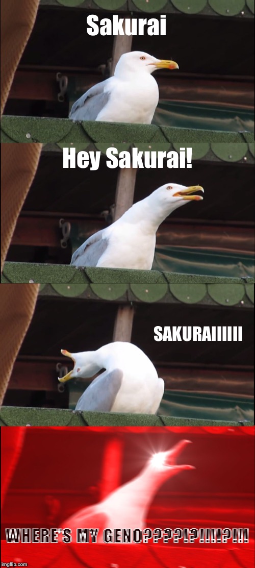 Re: Every single Smash 5 toxic fan | Sakurai; Hey Sakurai! SAKURAIIIIII; WHERE’S MY GENO????!?!!!!?!!! | image tagged in memes,inhaling seagull,super smash bros | made w/ Imgflip meme maker