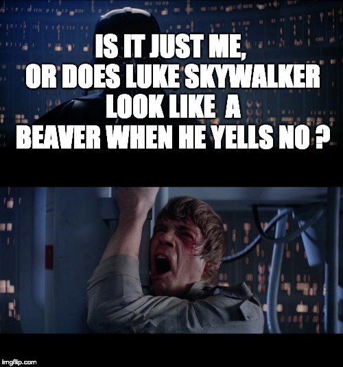 Star Wars No | IS IT JUST ME, OR DOES LUKE SKYWALKER LOOK LIKE  A BEAVER WHEN HE YELLS NO ? | image tagged in memes,star wars no | made w/ Imgflip meme maker