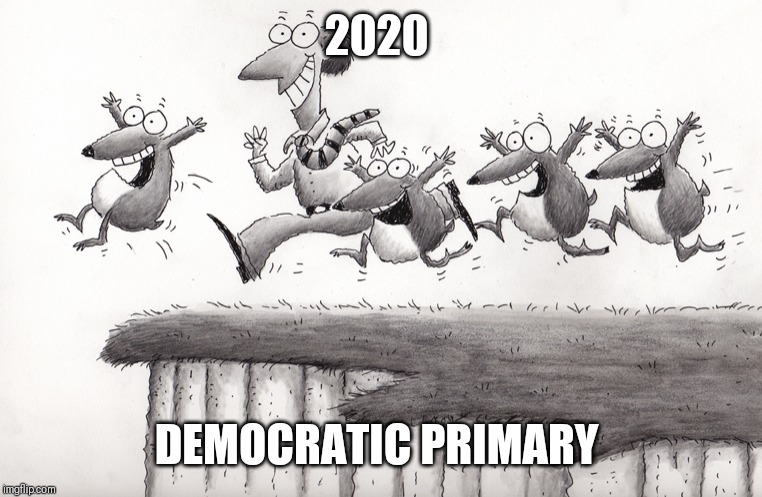 Lemmings | 2020; DEMOCRATIC PRIMARY | image tagged in lemmings | made w/ Imgflip meme maker