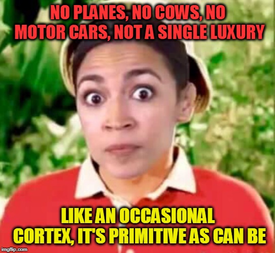 AOC Gilligan | NO PLANES, NO COWS, NO MOTOR CARS, NOT A SINGLE LUXURY; LIKE AN OCCASIONAL CORTEX, IT'S PRIMITIVE AS CAN BE | image tagged in aoc gilligan | made w/ Imgflip meme maker