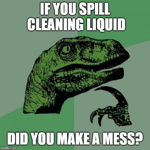 Philosoraptor | IF YOU SPILL CLEANING LIQUID; DID YOU MAKE A MESS? | image tagged in memes,philosoraptor | made w/ Imgflip meme maker