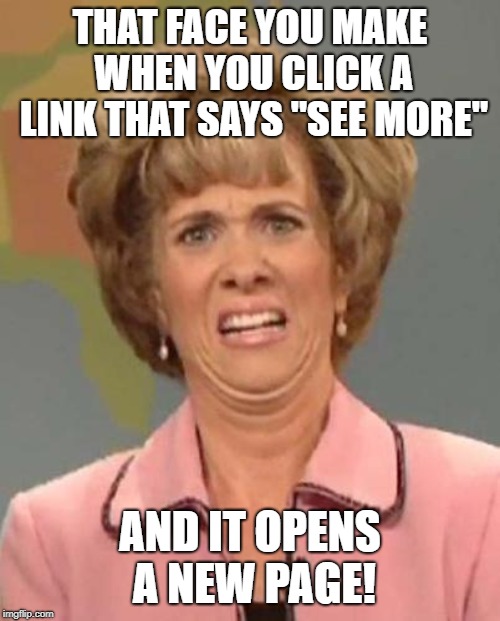 Disgusted Kristin Wiig | THAT FACE YOU MAKE WHEN YOU CLICK A LINK THAT SAYS "SEE MORE"; AND IT OPENS A NEW PAGE! | image tagged in disgusted kristin wiig | made w/ Imgflip meme maker