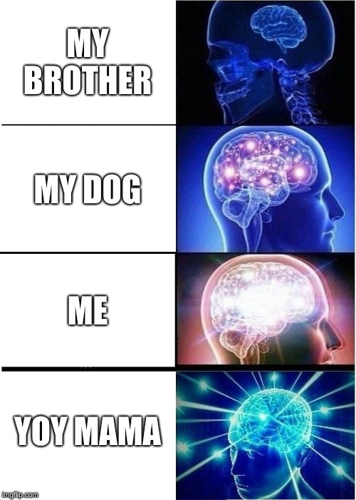 Expanding Brain Meme | MY BROTHER; MY DOG; ME; YOY MAMA | image tagged in memes,expanding brain | made w/ Imgflip meme maker