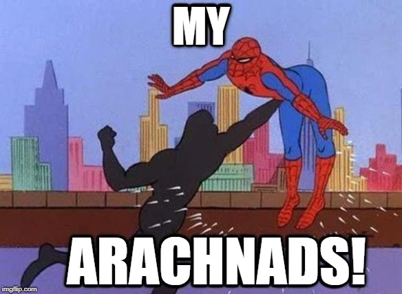That was below the belt | MY; ARACHNADS! | image tagged in meme,superheroes,spiderman,nuts | made w/ Imgflip meme maker