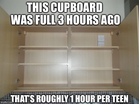 Teens in training | THIS CUPBOARD WAS FULL 3 HOURS AGO; THAT’S ROUGHLY 1 HOUR PER TEEN | image tagged in empty cupboard,teenagers | made w/ Imgflip meme maker