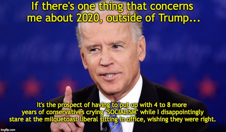 No Joe! | If there's one thing that concerns me about 2020, outside of Trump... It's the prospect of having to put up with 4 to 8 more years of conservatives crying "SOCIALISM" while I disappointingly stare at the milquetoast liberal sitting in office, wishing they were right. | image tagged in joe biden,election 2020,donald trump,socialism | made w/ Imgflip meme maker