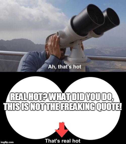 That’s Hot | REAL HOT? WHAT DID YOU DO, THIS IS NOT THE FREAKING QUOTE! | image tagged in thats hot | made w/ Imgflip meme maker