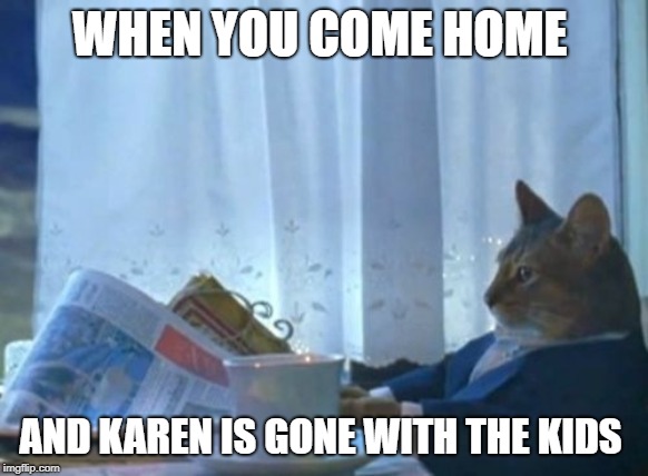 I Should Buy A Boat Cat Meme | WHEN YOU COME HOME; AND KAREN IS GONE WITH THE KIDS | image tagged in memes,i should buy a boat cat | made w/ Imgflip meme maker