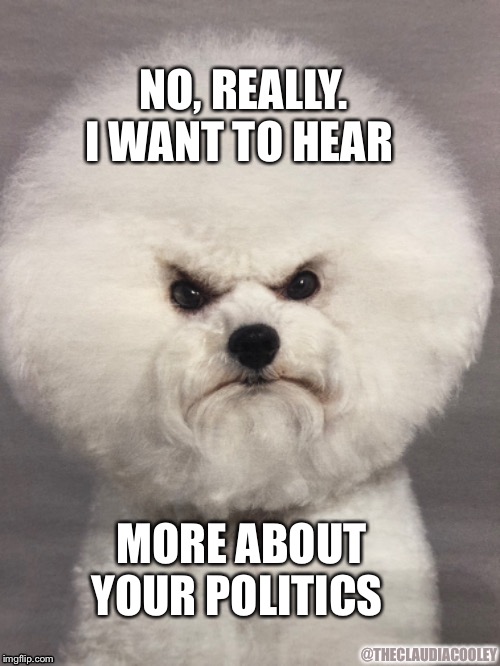 No go on I want to hear you talk endlessly about your politics  | NO, REALLY. I WANT TO HEAR; MORE ABOUT YOUR POLITICS; @THECLAUDIACOOLEY | image tagged in politics,dog,crazy hair,angry dog,pissed off,grumpy dog | made w/ Imgflip meme maker