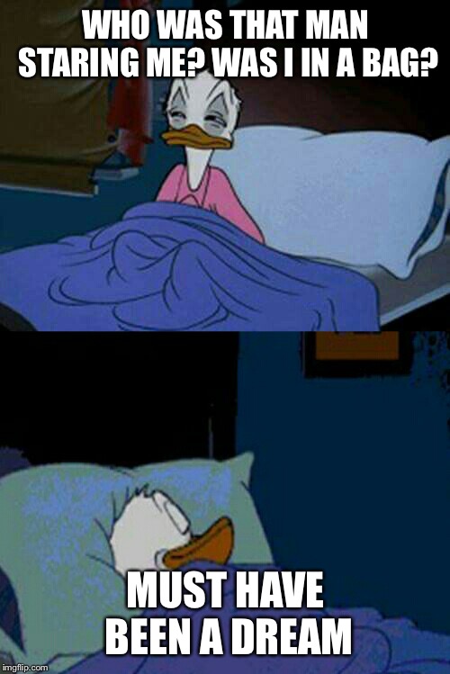 sleepy donald duck in bed | WHO WAS THAT MAN STARING ME? WAS I IN A BAG? MUST HAVE BEEN A DREAM | image tagged in sleepy donald duck in bed | made w/ Imgflip meme maker