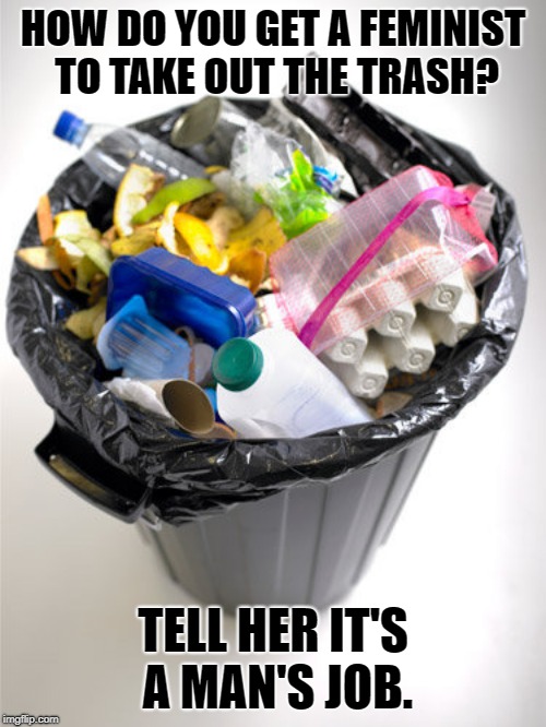 garbage | HOW DO YOU GET A FEMINIST TO TAKE OUT THE TRASH? TELL HER IT'S A MAN'S JOB. | image tagged in garbage | made w/ Imgflip meme maker