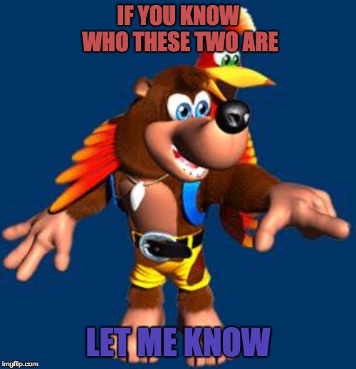 Consider it a general knowledge test. | IF YOU KNOW WHO THESE TWO ARE; LET ME KNOW | image tagged in banjo-kazooie | made w/ Imgflip meme maker