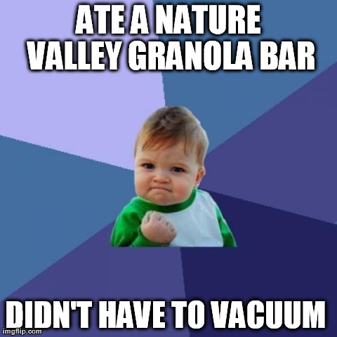 Success Kid | ATE A NATURE VALLEY GRANOLA BAR DIDN'T HAVE TO VACUUM | image tagged in memes,success kid,AdviceAnimals | made w/ Imgflip meme maker