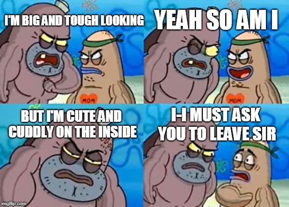 How Tough Are You Meme |  YEAH SO AM I; I'M BIG AND TOUGH LOOKING; BUT I'M CUTE AND CUDDLY ON THE INSIDE; I-I MUST ASK YOU TO LEAVE SIR | image tagged in memes,how tough are you | made w/ Imgflip meme maker