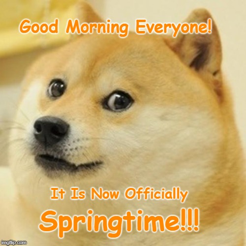 Doge Meme | Good Morning Everyone! It Is Now Officially; Springtime!!! | image tagged in memes,doge | made w/ Imgflip meme maker